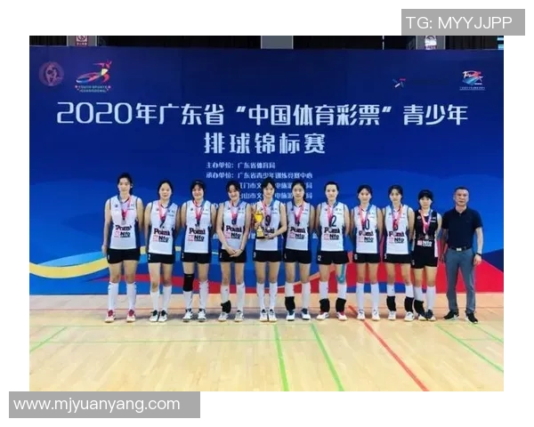 专业解读:深圳排球队的运营打法 专业解读:深圳排球队的运营打法