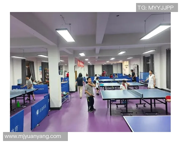 乒乓球的魅力与灵动西安乒乓球队的训练与战术揭秘