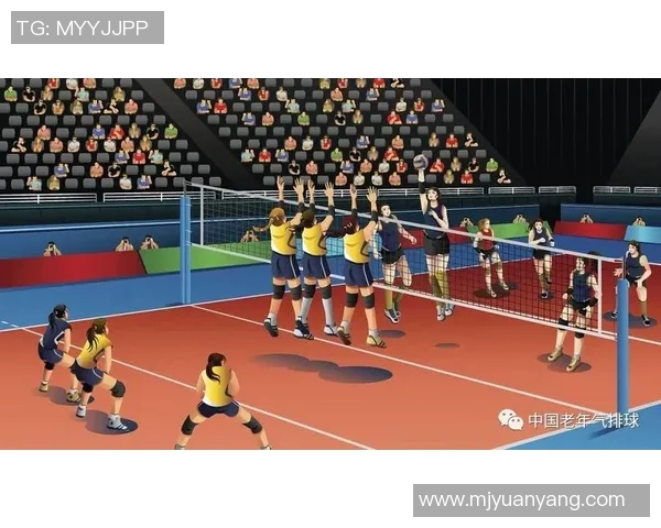 从零起步掌握排球战术全解析助你成为场上高手