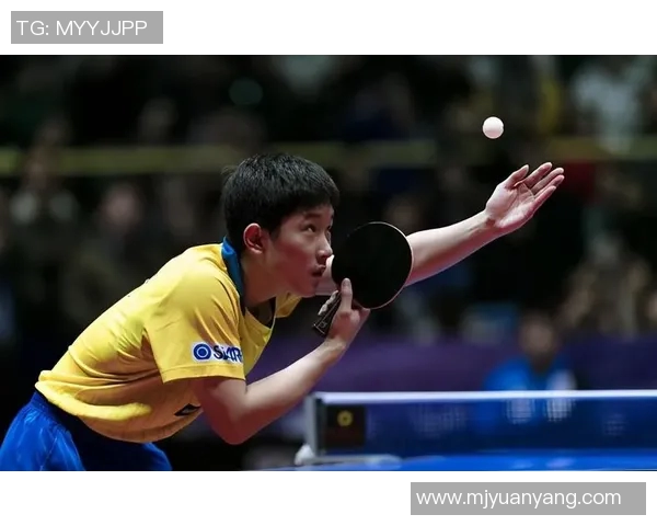 南京乒乓球队在联赛中的速度表现分析与战术探讨