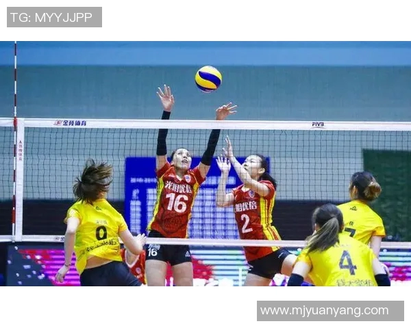 南京排球队强势领跑联赛积分榜68分稳居第一位置