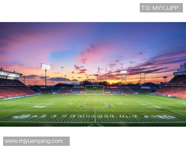 在绿茵场上舞动的风之子最飘逸的足球明星风采解析