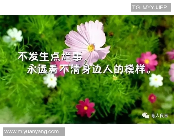 张秀英的排球旅程:从赛场辉煌到人生感悟的深度对话 张秀英的排球旅程:从赛场辉煌到人生感悟的深度对话