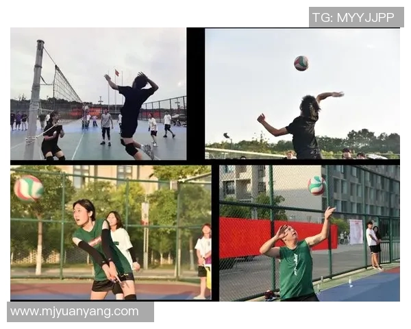 成都排球队心理素质提升之路探讨与热议