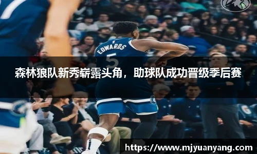 森林狼队新秀崭露头角，助球队成功晋级季后赛