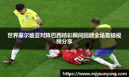 世界塞尔维亚对阵巴西精彩瞬间回顾全场集锦视频分享